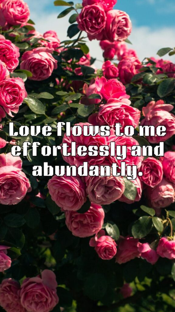 An affirmation with the text 'Love flows to me effortlessly and abundantly' on a pink flower, designed as a Love and Relationships Manifestation Wallpaper for Phone.