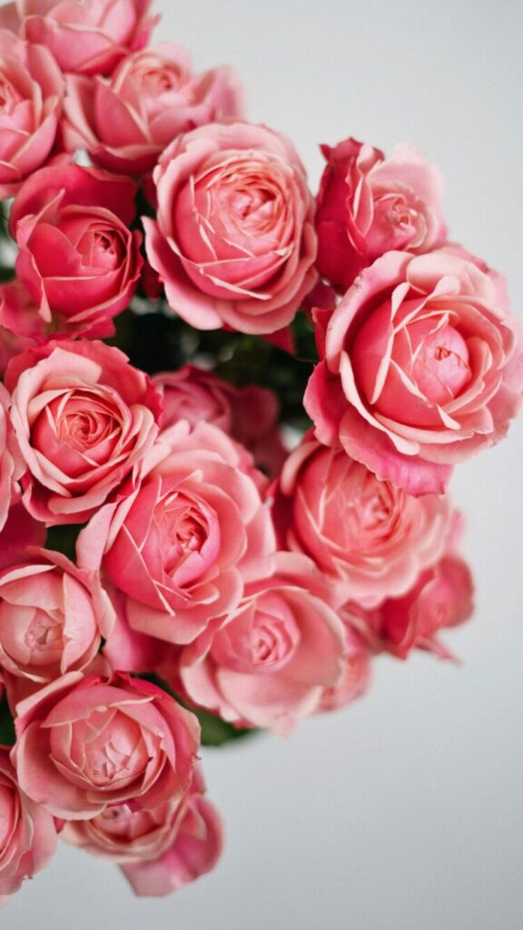 A close-up of a bouquet of soft pink roses, symbolizing love and romance, designed as a Love and Relationships Manifestation Wallpaper for Phone.